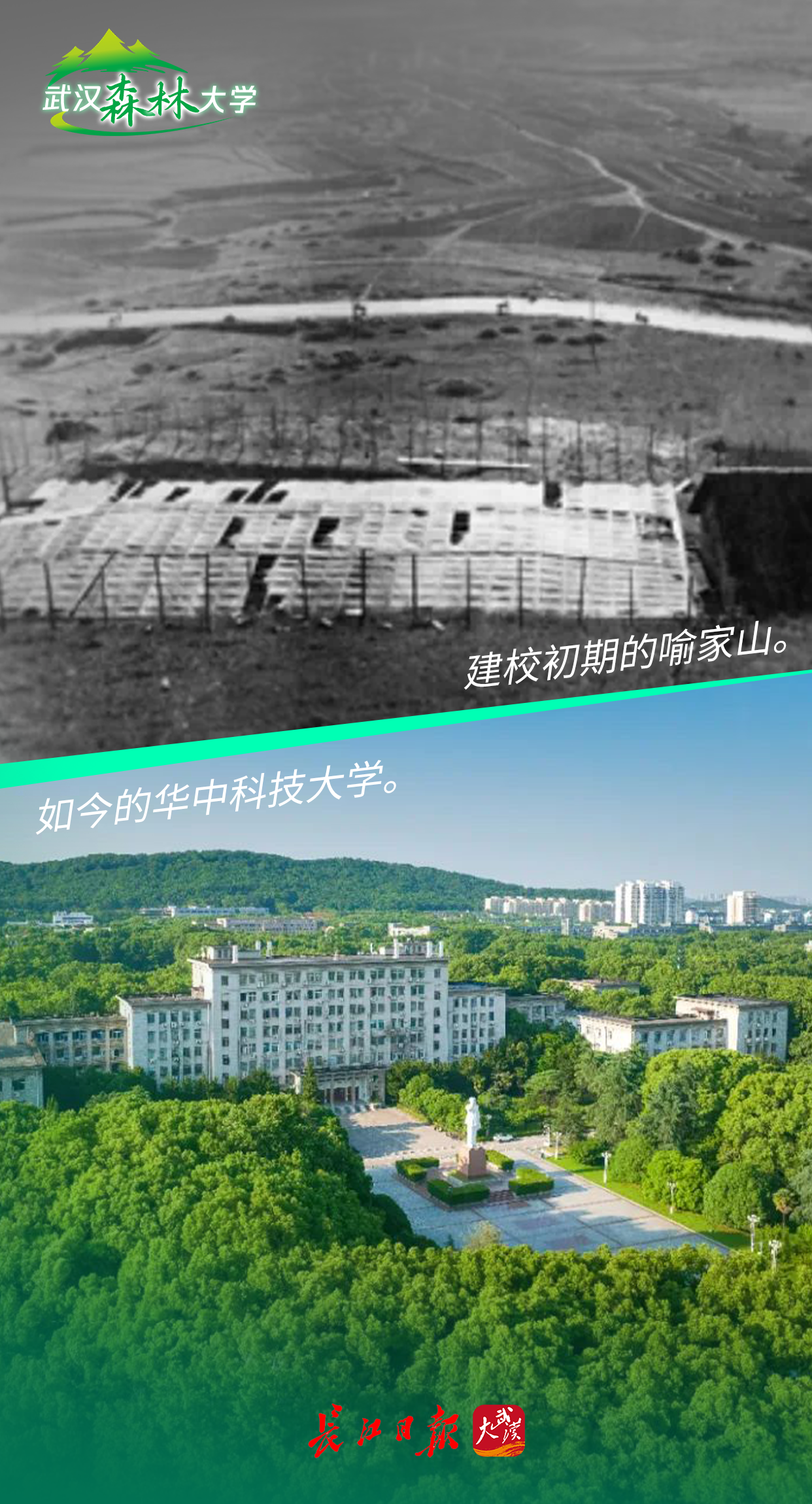 170812bz9nv93amwmv59mn.png