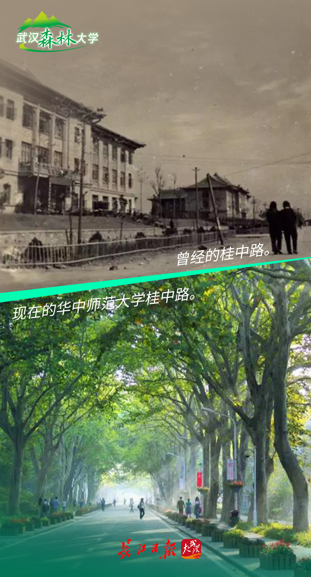 170812k9qpebsrh079hzb9.png