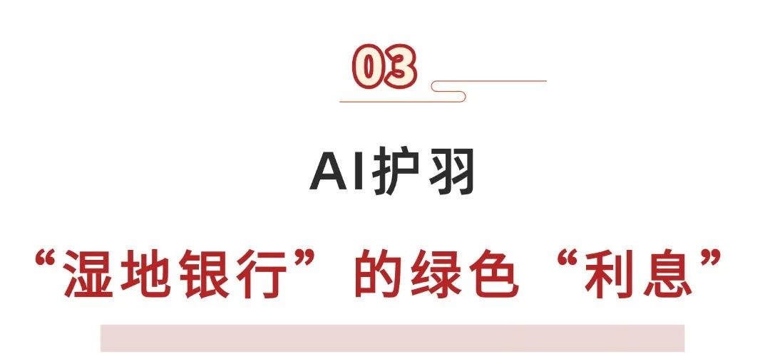 175452jvvdsqsvwd4wy4ai.jpeg