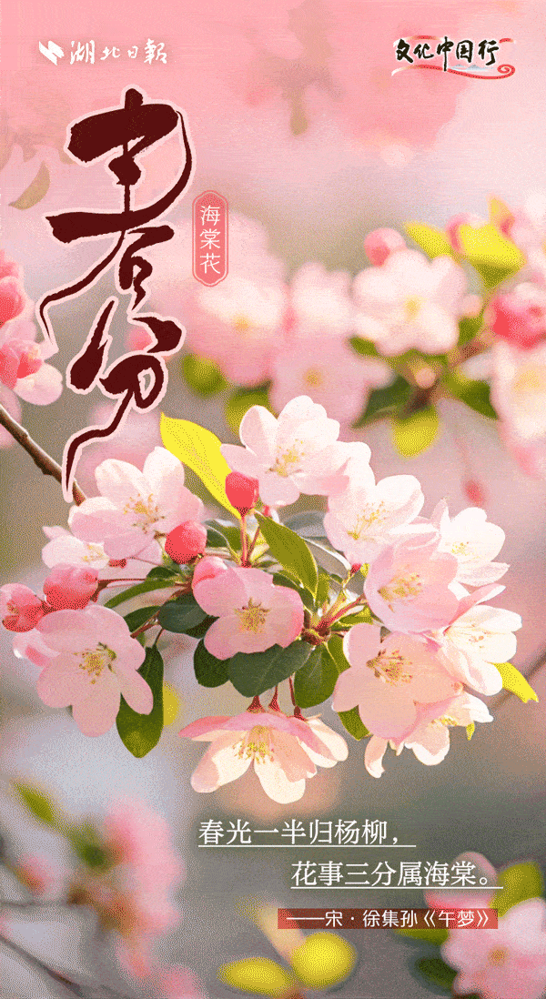 191354q0k39b7j759370hk.gif