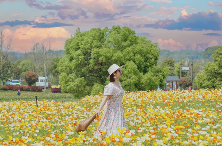 170913q4f5fldxta5lrtz4.png