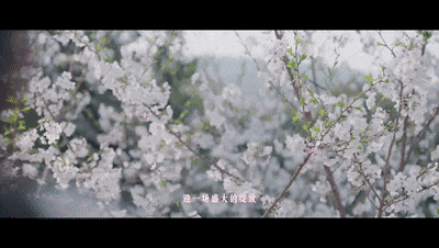 4efd001322587e9f37c5f913b4a7284e.gif
