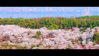 def2dd1b2aa99f2e01959b5fefb1c90e.gif