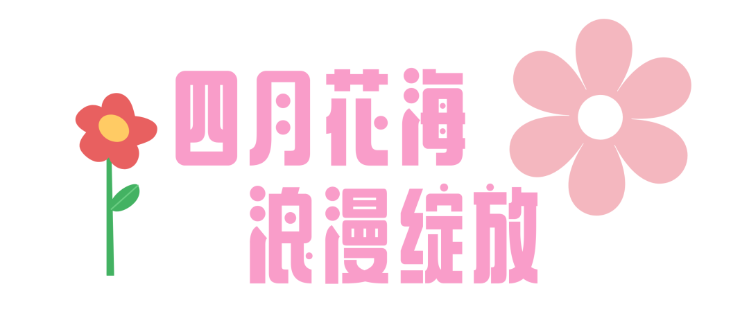 113716vcephbk7heke5hl9.png
