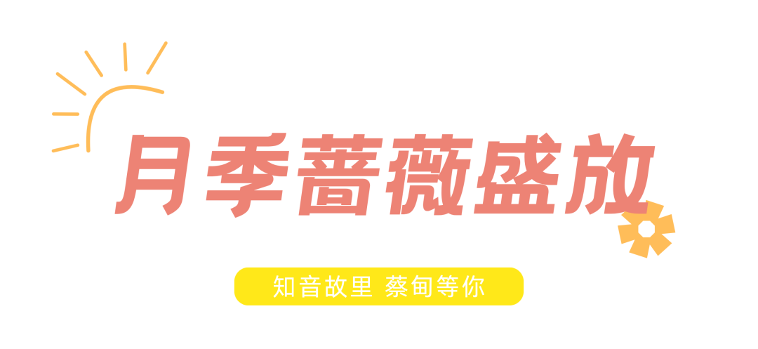 101435g8we1oxtl89n8vts.png