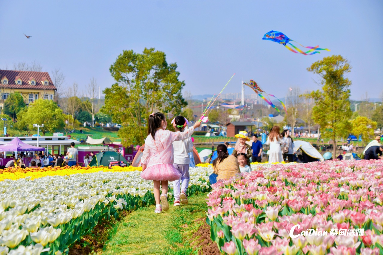 151607h8ed8ec2rewqfa85.jpg
