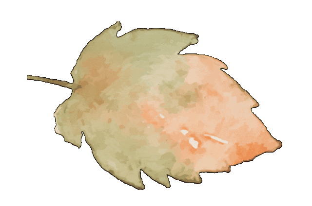 122546wihdfilqddfzd4il.gif