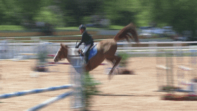 203511qrllcjk1gco6op6j.gif