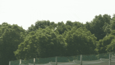 194035c1etcqtpe7pt7tzp.gif