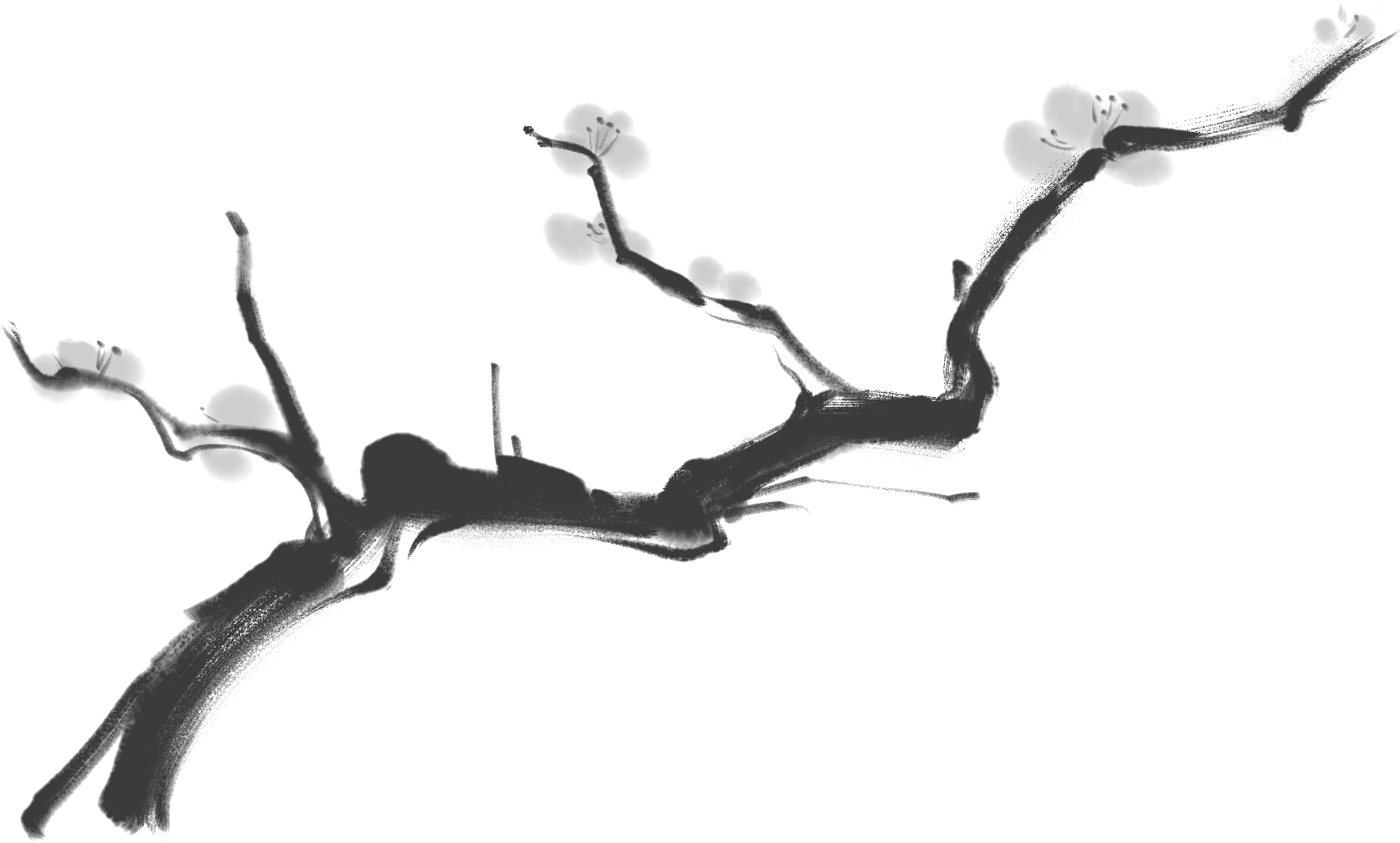 193816v48p02cipufzeh1h.png