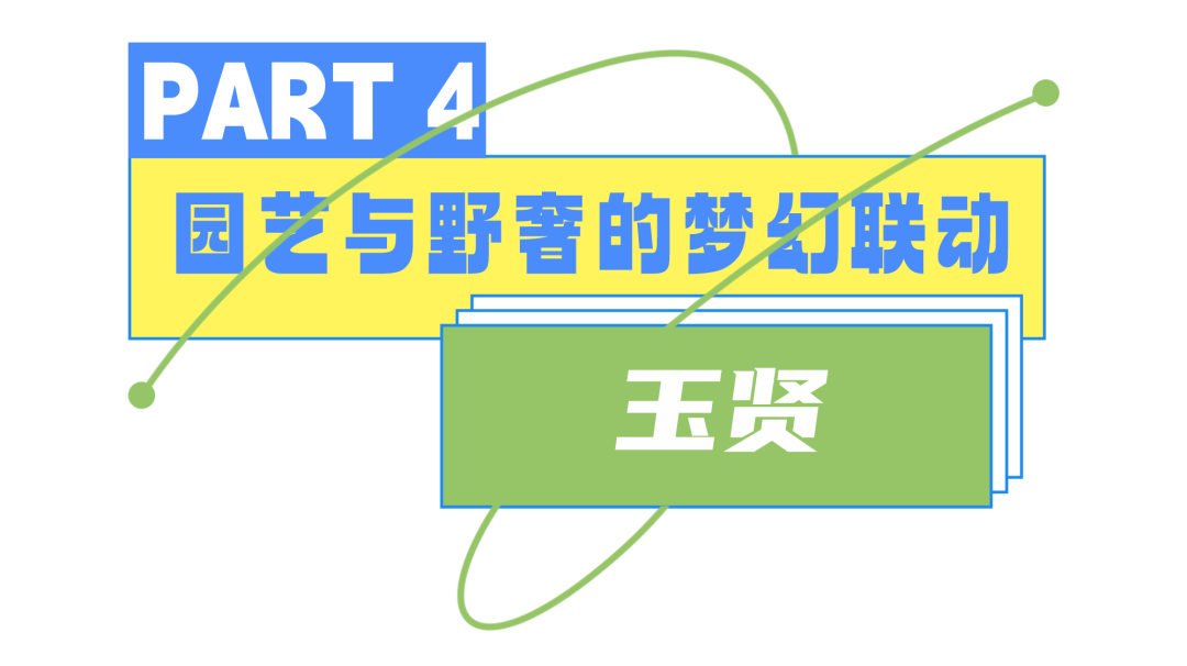 185836yp74tm5mpon4m5i4.png