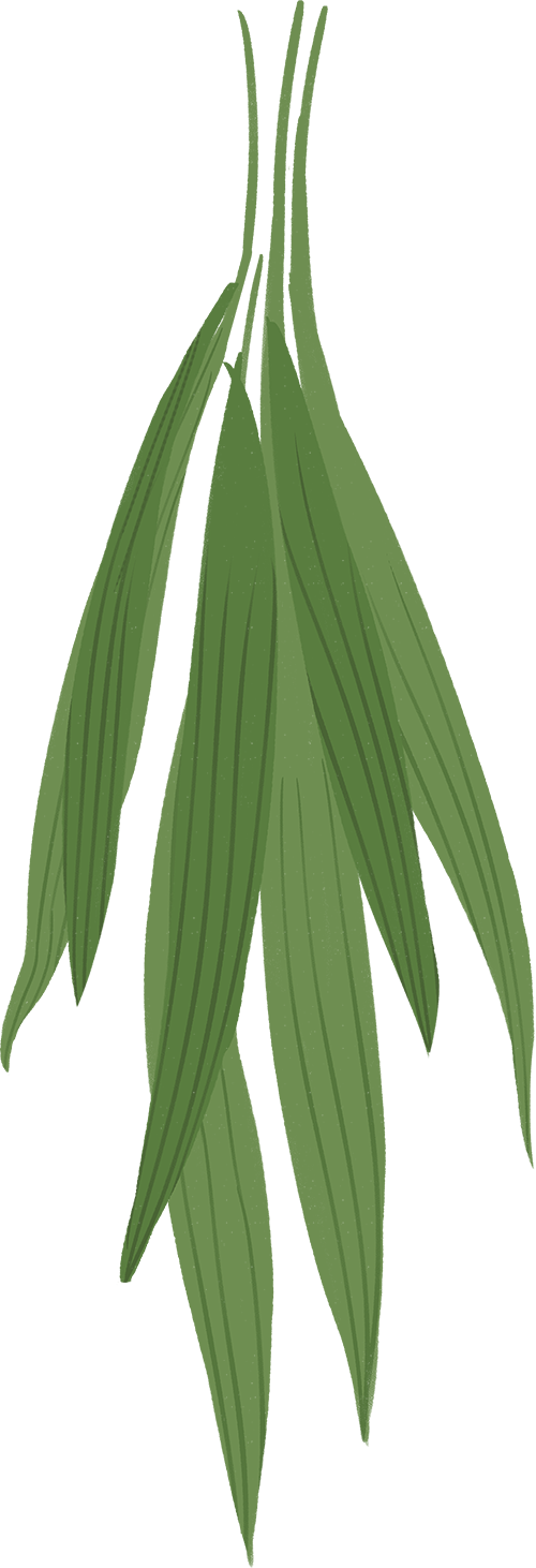 111212l34ahf4avabihfhh.png