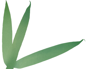 165625dnq0wgnoulj3nrag.png
