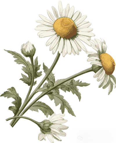 154454gxprr2npftrexfp2.png