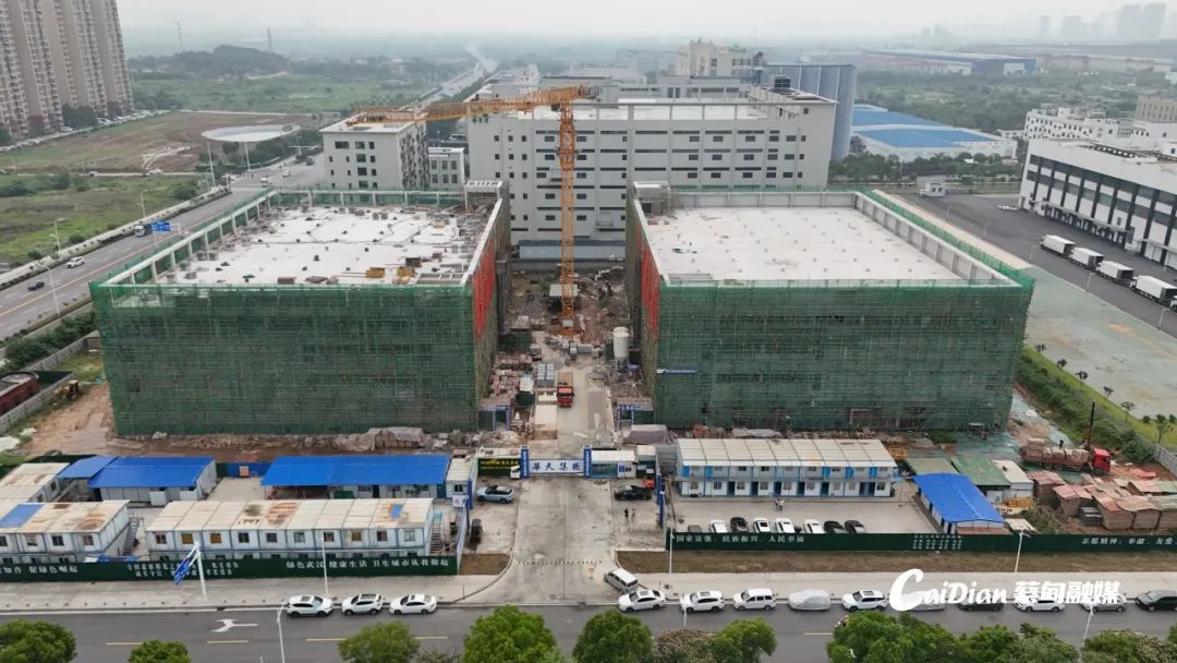 125332y4ndtdn74jm7jnzj.jpeg