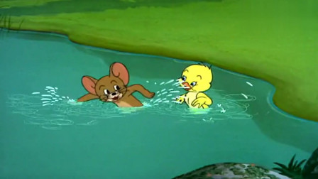155028ckzzcz3u5c4cn04c.png