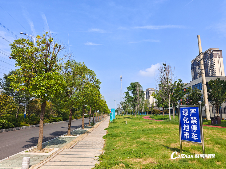170711cydy92414ylmm4dv.jpg