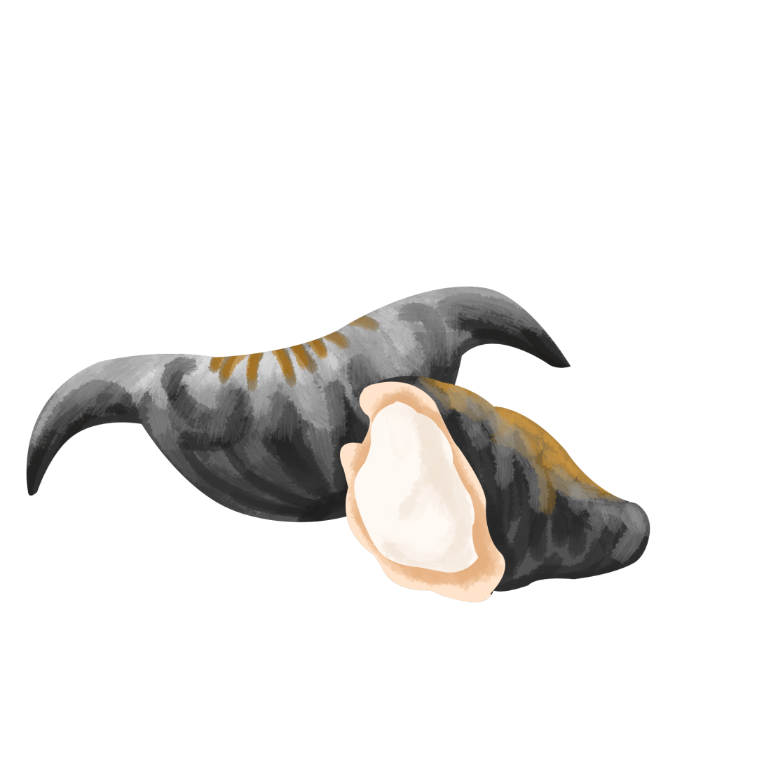 142437ym2cp21pfb5c78nn.png