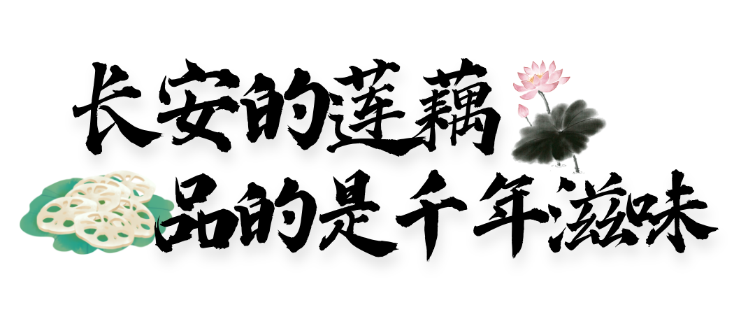 122437e4jzbqb5qlejjl5j.png