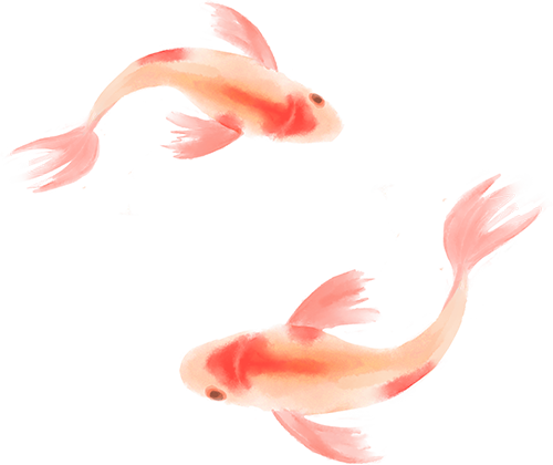122438j3a84zs4x8s8vnla.png