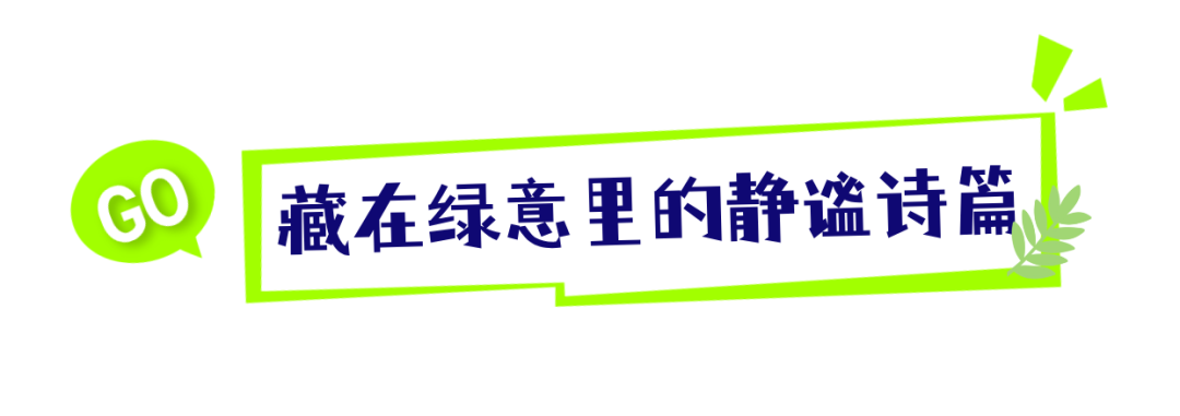 090520n8xqt8tat8wr8qtq.png