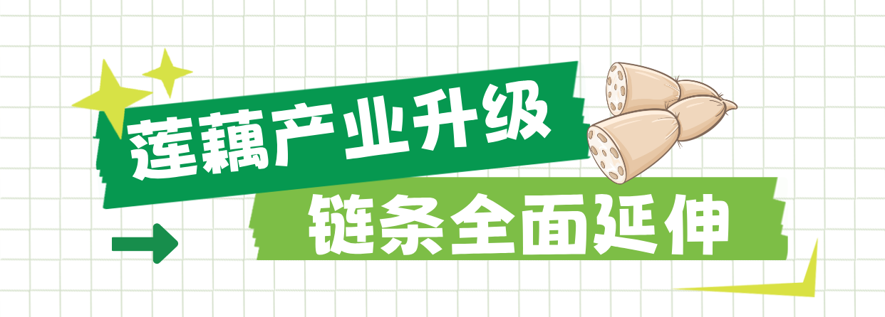 180449r8818p8d812cypk8.png