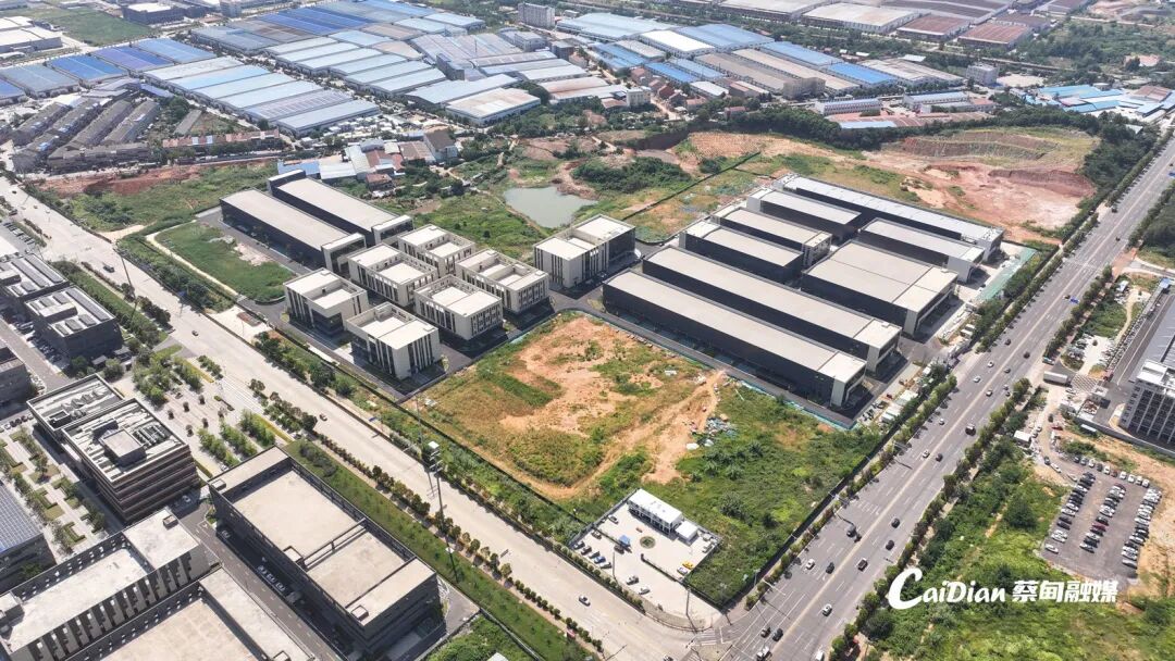 163716g0kkquhurukcsstf.jpeg