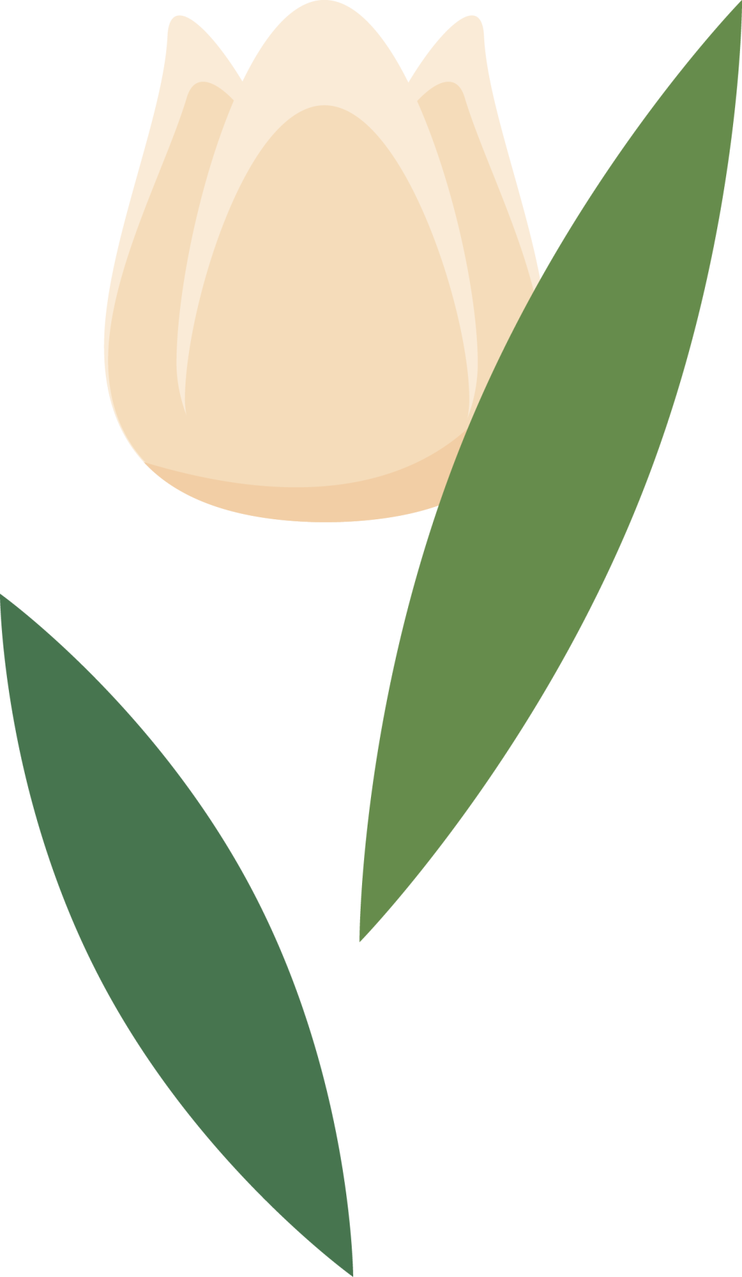 140213kisygwmjvb4ljgr7.png