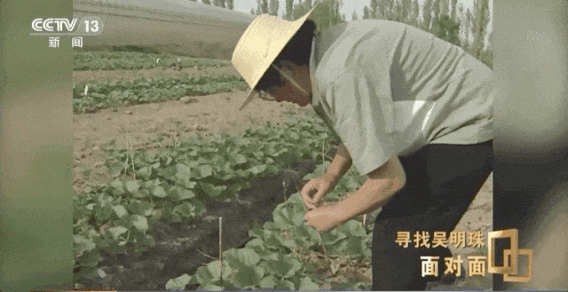 152344m6xxpvr1z5n6q6vp.gif