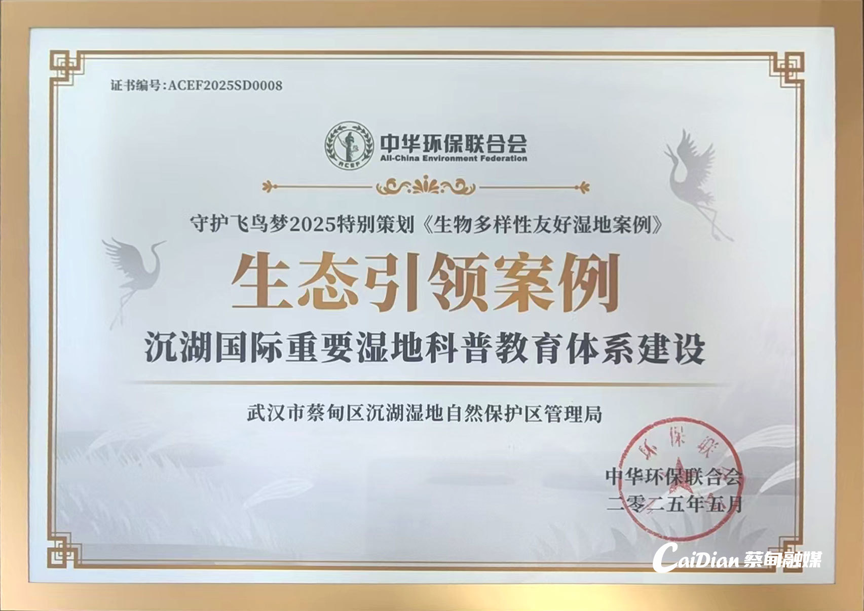 100258qaz1nn224otm5ion.jpg