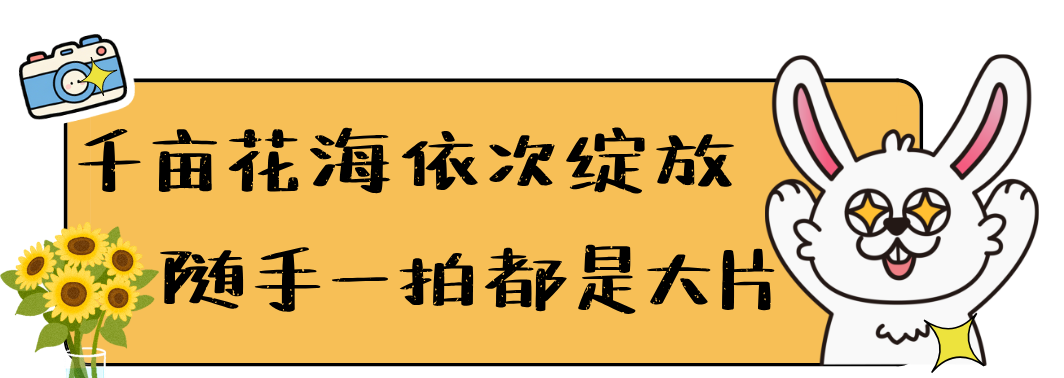 174704d7odkp7p088bjbjh.png