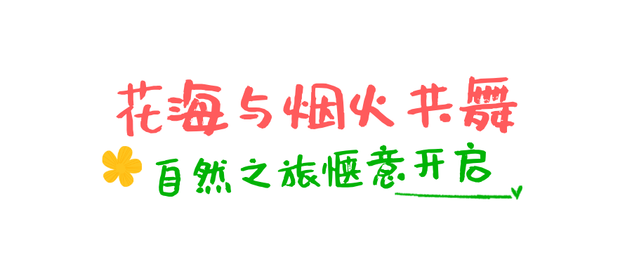 193654gktjzlvjjltffdjj.png