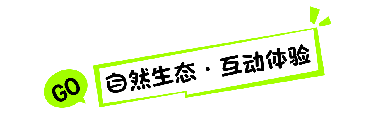 201557pdi5si3kffvi9ddk.png