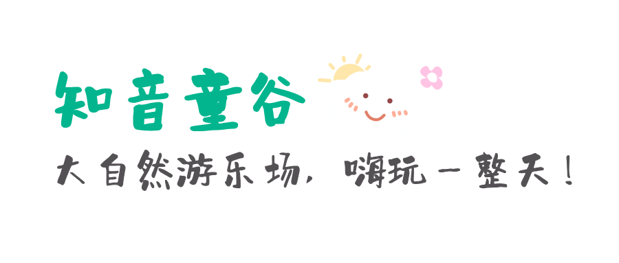 160338o55mt5575e05007t.png