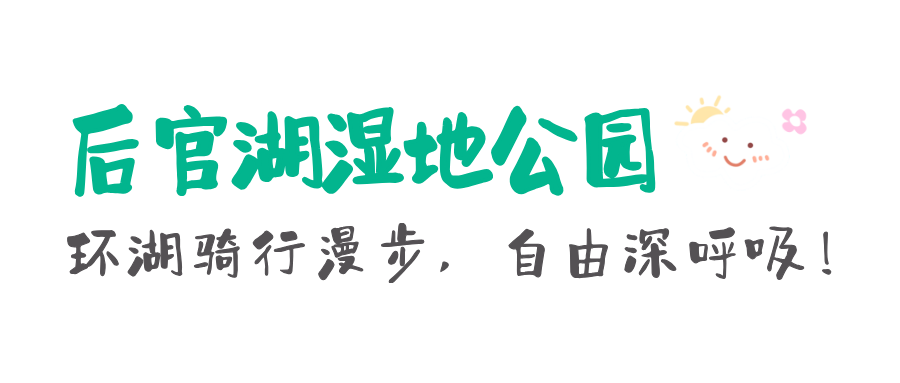 160339b5658umm6g9c3ovg.png