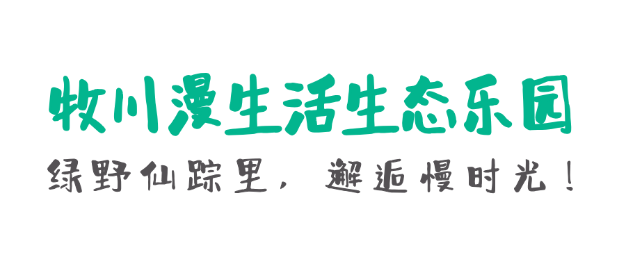 160339edon1rbbmkdmd8wb.png