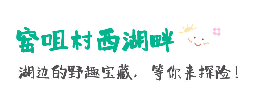 160339mn6pz1fttfzhjftt.png