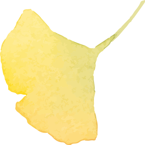093135fmnslm0z1zm5aemd.png