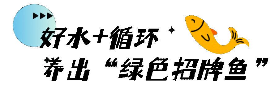 160309mneemcmmqvnnynqy.gif