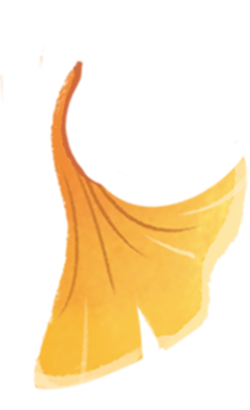 115431w55pe6llers65e75.png