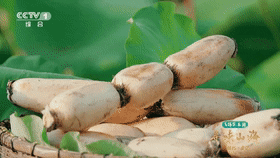 151129l5j5nlw0aa2i19jj.gif