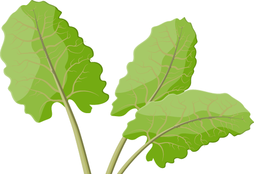 190848ioozw43333hzddl6.png