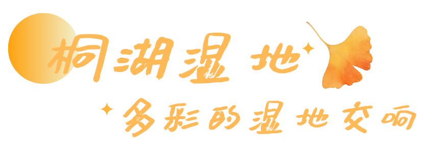 192357ltpn77qdfmpttx3c.png