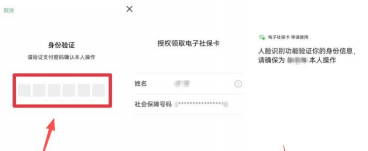 161732oaki8naaakxz3x8s.png