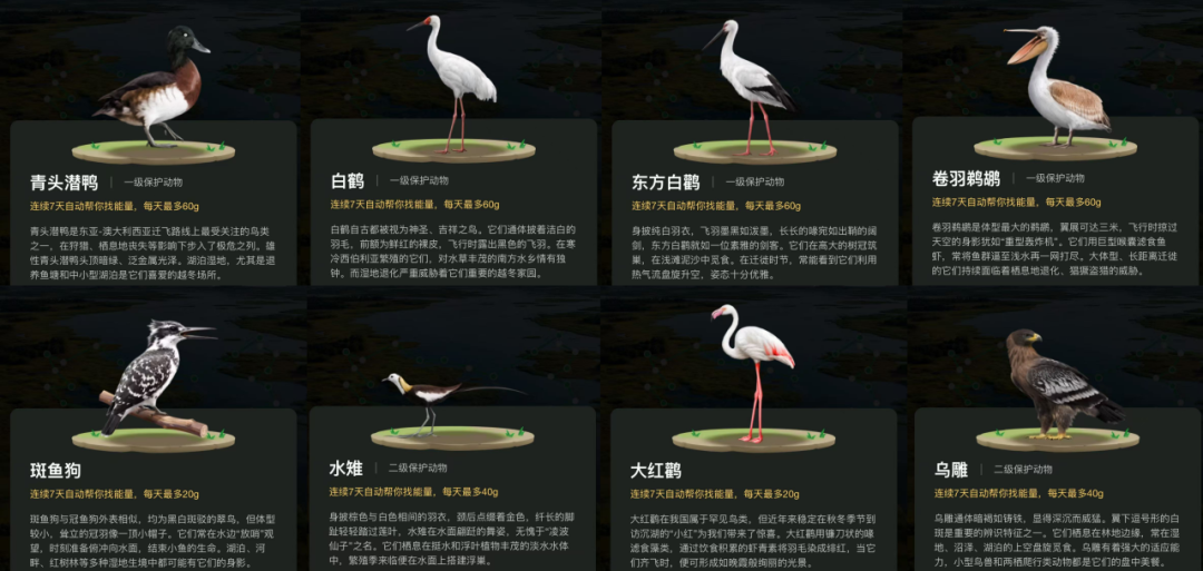 180619wszjjs7gv2jzww6w.png