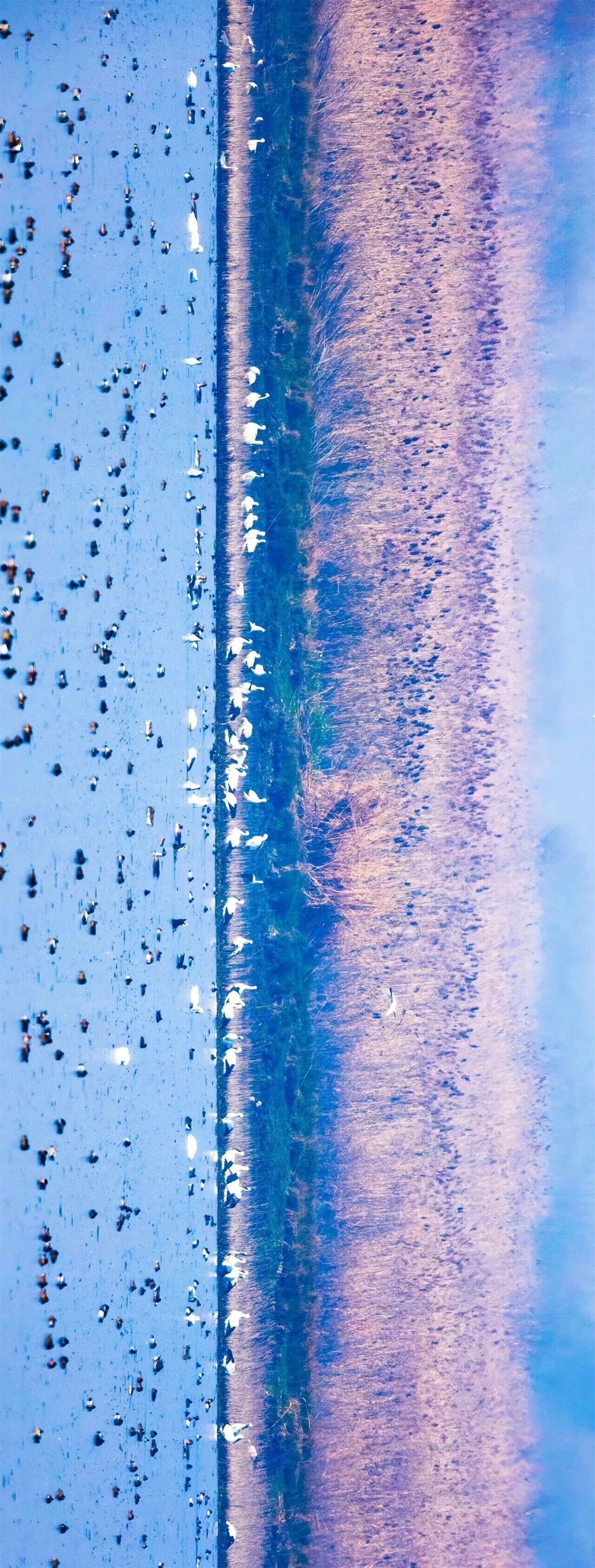 164440azc2lgk7iclgg87f.jpeg