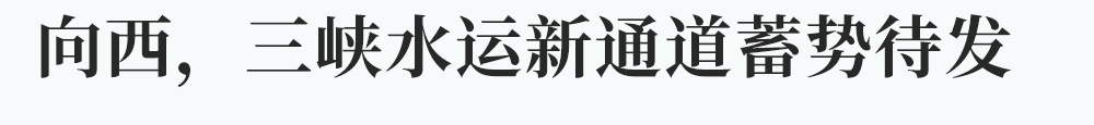 144059nnvvng4q8wfgdjfd.png