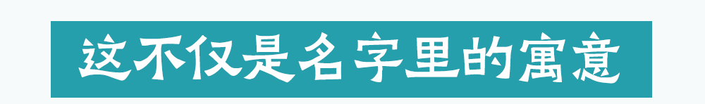144059r7k7w226h911jwk7.png