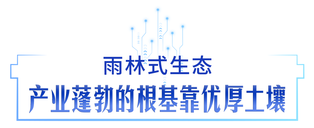 152912wrtt8w3rs9581w1w.png