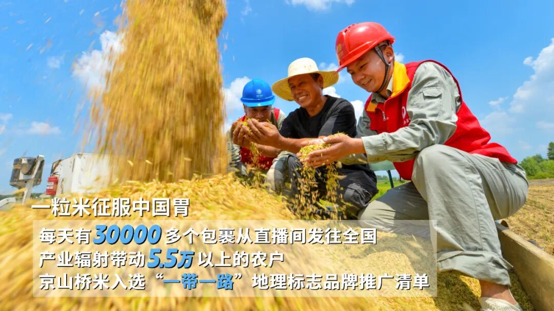 152934kgg11664yq381gjn.jpg